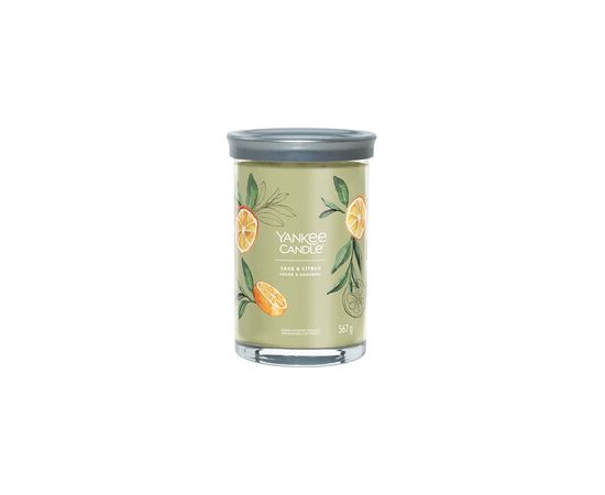 Yankee Candle Sage & Citrus Signature Tumbler Candle ( sage and citrus ) 122.0g