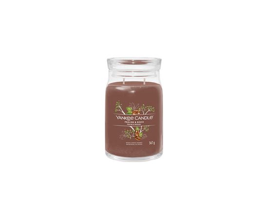 Yankee Candle Praline & Birch Signature Candle (praline and birch) 368.0g