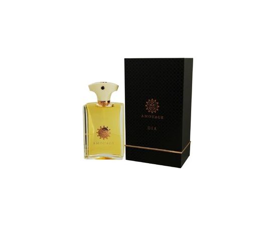 Amouage Dia pour Homme EDP 100ml