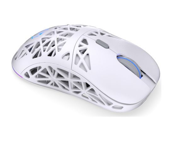 ENDORFY LIV Plus Wireless Onyx White (white, incl. charging station)