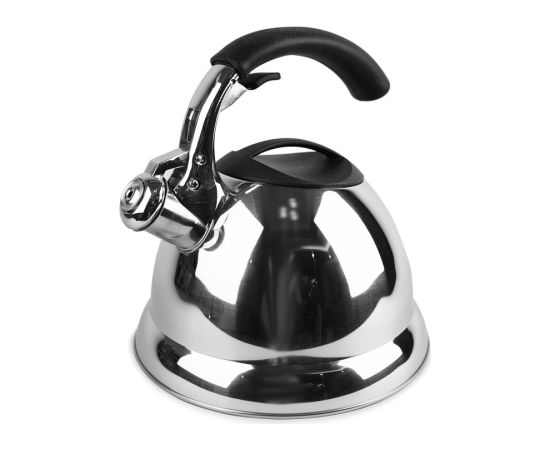 Kettle MAESTRO MR-1314 stainless steel 3 l