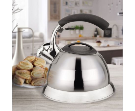 Kettle MAESTRO MR-1314 stainless steel 3 l