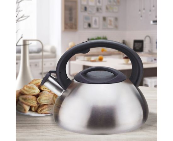 Non-electric kettle Maestro MR-1306 Silver 3 L