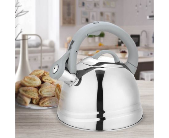 Non-electric kettle Maestro MR-1304