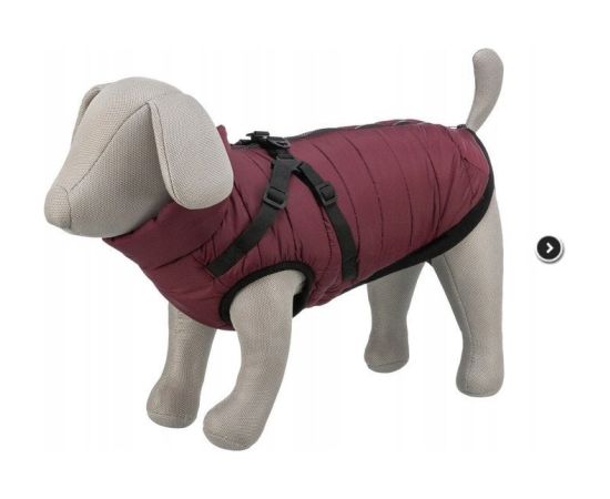 Trixie Pirou winter harness coat, XS: 30 cm, sangria