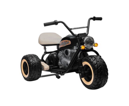 Lean Cars Battery-powered Tricycle LL6688 Black 24V