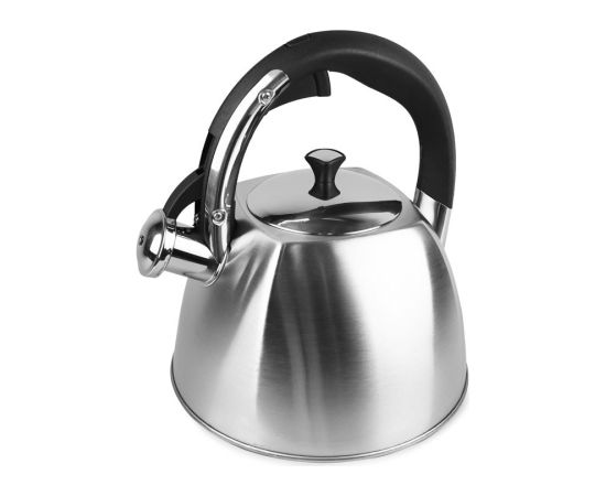 Czajnik nieelektryczny 3,0L MR-1333 MAESTRO