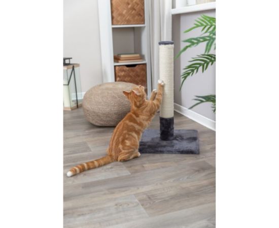 Nagu asināmais - Trixie Batres scratching post, 62 cm, platinum grey