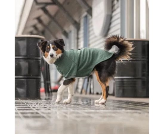 Trixie CityStyle Amsterdam sweatshirt, M: 50 cm, dark green