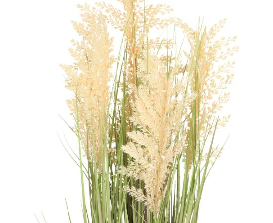 Mākslīgais augs IN GARDEN H87cm, bēšs sorgo, zāle ar podiņu