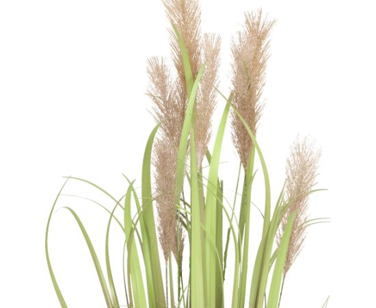 Mākslīgais augs IN GARDEN H70cm, tumši brūna zāle ar podiņu