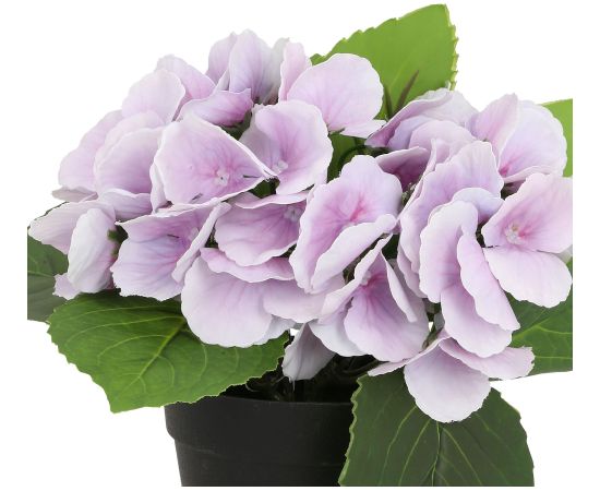 Artificial flower IN GARDEN H18cm, purple hydrangea with pot