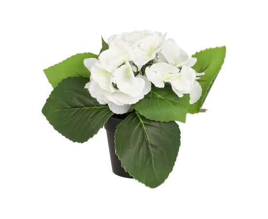 Artificial flower IN GARDEN H18cm, white hydrangea with pot