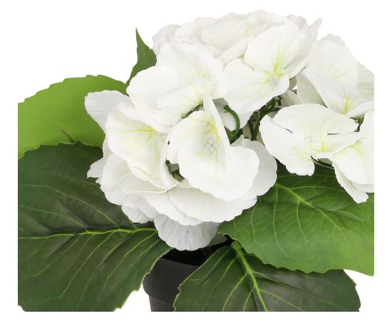 Artificial flower IN GARDEN H18cm, white hydrangea with pot