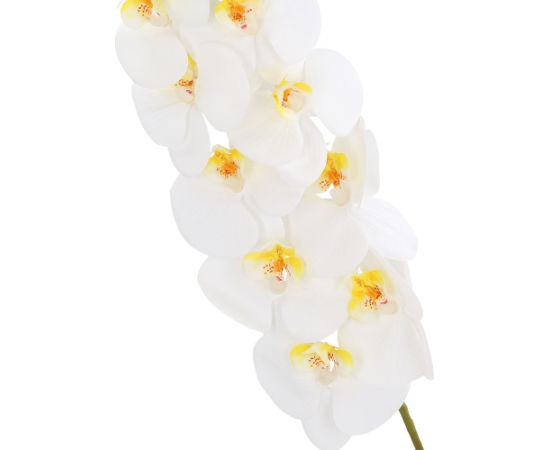 Orchid IN GARDEN H92cm, white phalaenopsis