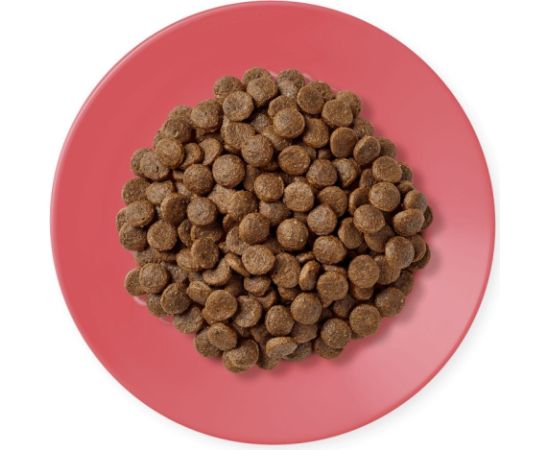 APPLAWS Adult Chicken with duck - dry cat food - 400g