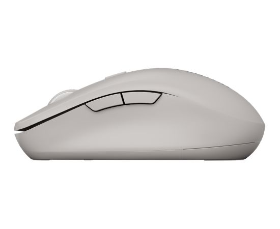 CANYON mouse MW-12 Dual band Wireless grey