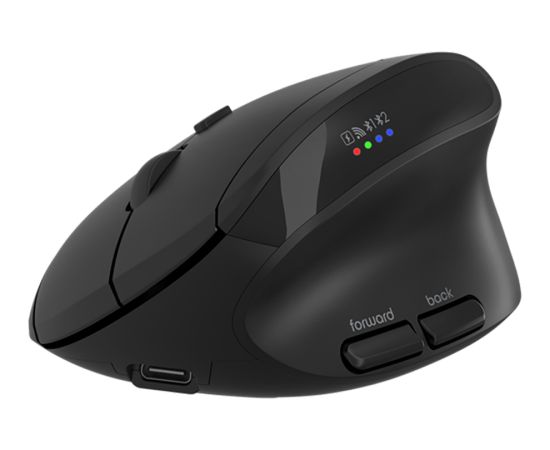 CANYON mouse MW-25 Ergonomic LED AA Dual mode Wireless Black