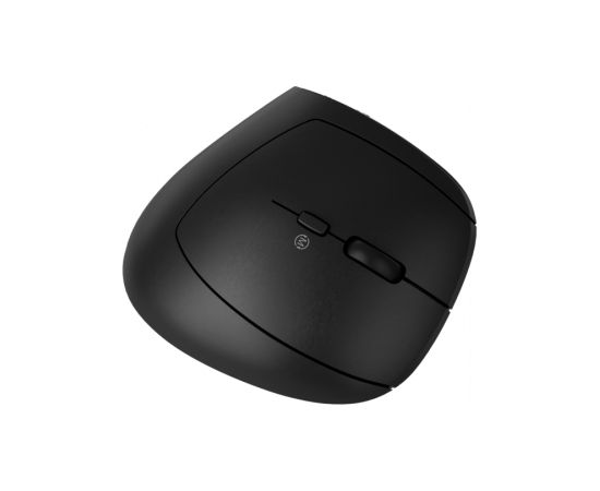 CANYON mouse MW-25 Ergonomic LED AA Dual mode Wireless Black