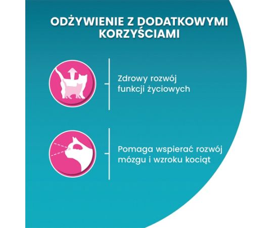 PURINA ONE JUNIOR łosoś/marchew 85g