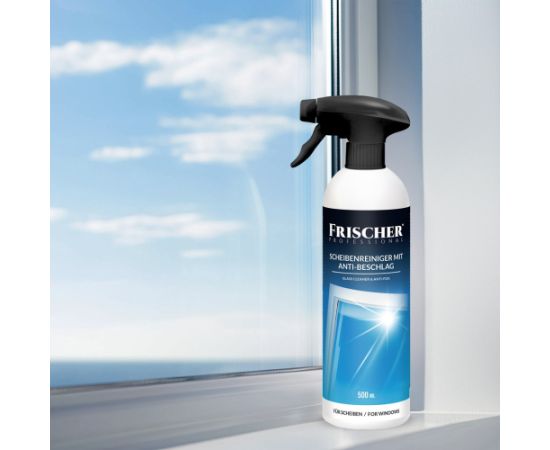 Frischer glass cleaner with anti-vapour function 0,5l