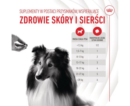 ROYAL CANIN Supplements Dog Skin & Coat Adult - dog vitamins - 240g
