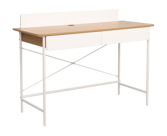 Desk FERDIE 120x48xH88cm, ash/white