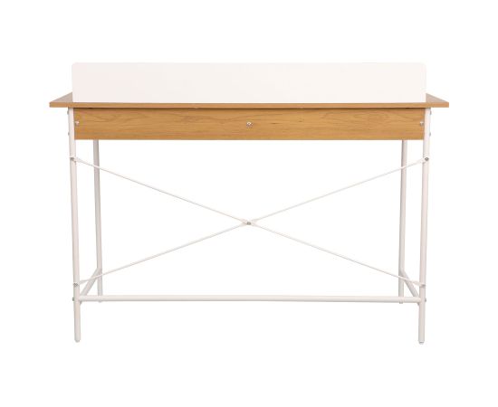 Desk FERDIE 120x48xH88cm, ash/white