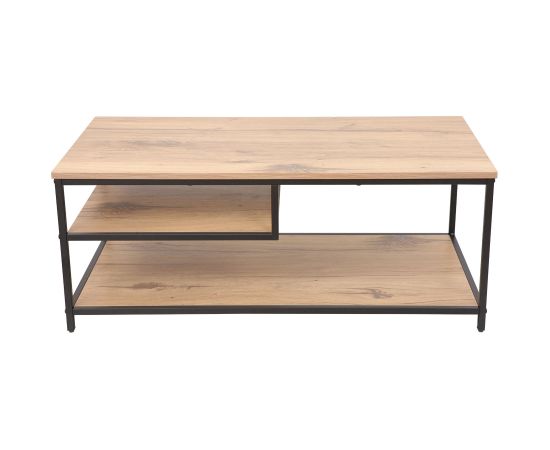 Coffee table DIMITRA 100x50xH40cm, rustic/black