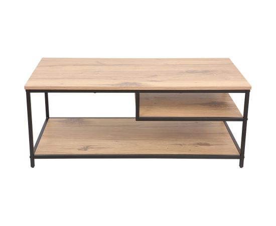 Coffee table DIMITRA 100x50xH40cm, rustic/black