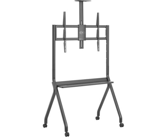 Maclean TV stand / cart, camera shelf, on casters, 55-100", max load 120kg/10kg shelf, max. VESA 900x600, black, MC-114 B