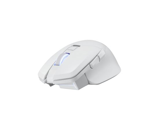 Power Color PowerColor ALPHYN AM10 WHITE