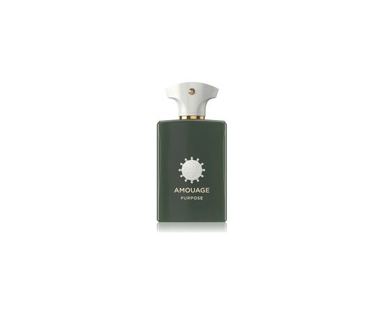 Amouage Purpose EDP 100ml