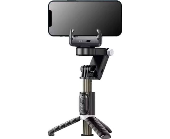 Gimbal/stand with light APEXEL Q18 (black)