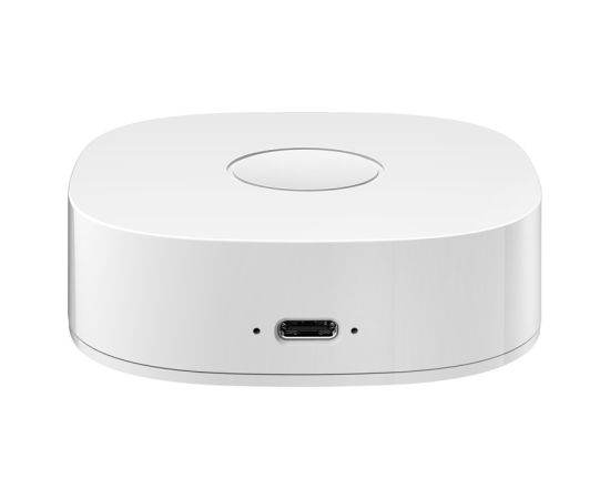 Heiman Smart home WS2GW-R WiFi