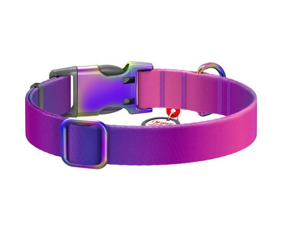 Nylon dog collar with QR code WAUDOG 15 mm wide, 25-35 cm long purple Citas preces Nylon dog collar with QR code WAUDOG 15 mm wide, 25-35 cm long purple Citas preces