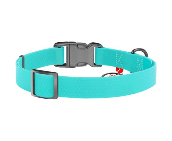 Waterproof glowing dog collar with QR passport WAUDOG 40 mm wide, 46-70 cm long