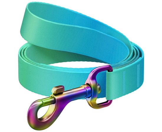 WAUDOG gradient nylon dog leash, 20 mm wide, 122 cm long blue