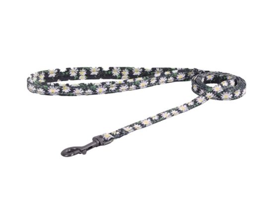 Cat set Dogness harness and leash (Daisy Black)