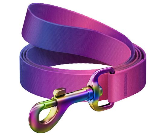 WAUDOG gradient nylon dog leash, length 122cm, purple