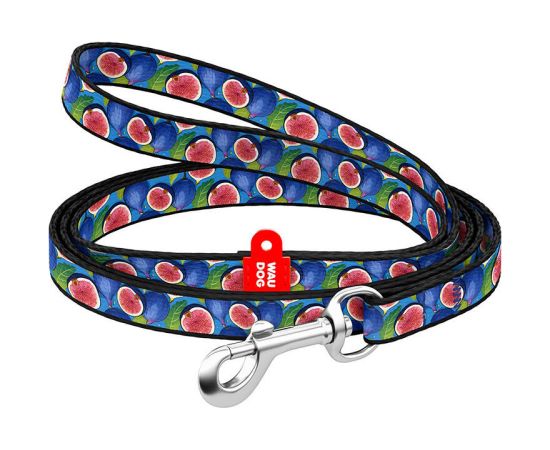 WAUDOG nylon dog leash 20 mm wide, 122 cm long "fig"