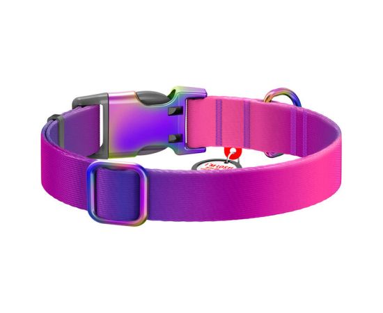Waudog gradient nylon dog collar with QR code, purple , size L