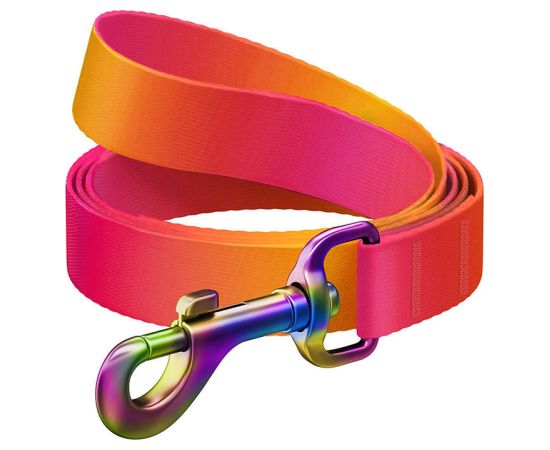 WAUDOG gradient nylon dog leash, 122 cm long, orange