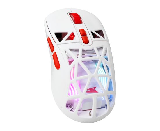 Baracuda BGM-092 Seal White