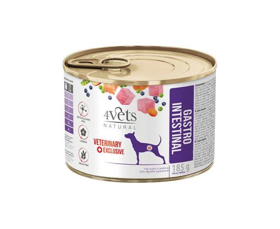 4VETS Natural Gastro Intestinal Dog - wet dog food - 185 g