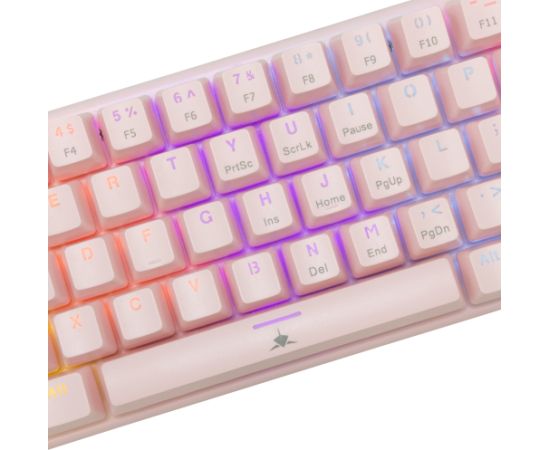 White Shark GK-002421V2 Wakizashi-2 Pink US-Blue.SW
