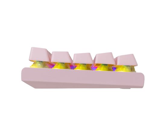 White Shark GK-002421V2 Wakizashi-2 Pink US-Blue.SW