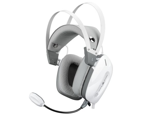 White Shark GH-2446 Gottan White