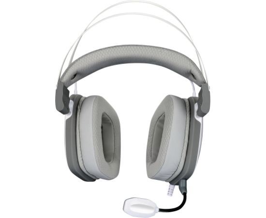 White Shark GH-2446 Gottan White