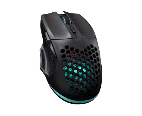 Baracuda BGM-101 Penguin Black